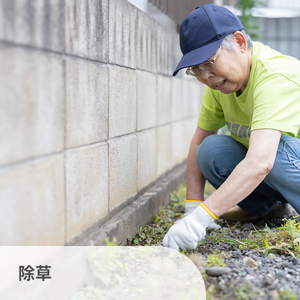 除草